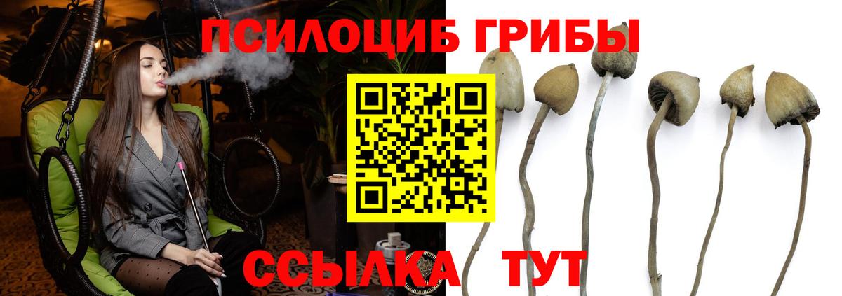 Меф Барнаул